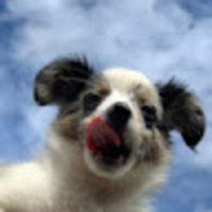 Meet your Posher, Mahdi